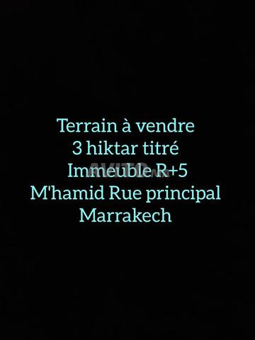 3 hiktar Terrain R plus 5 a mhamid Marrakech 