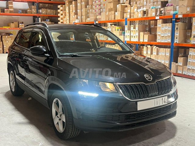 2019 Skoda Karoq