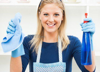 Agence femme de ménage cuisinière garde malade 