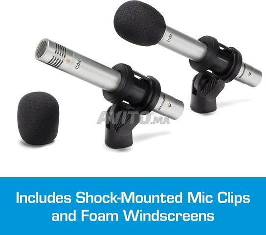 B0002D0KBE Samson C02-P Lot de 2 microphones 
