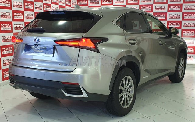 Lexus nx occasion Hybride Modèle 2021