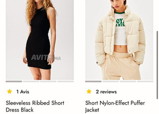 Creation site web professionel WORDPRESS