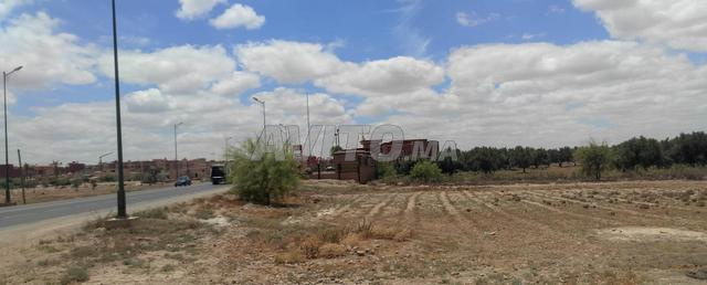 vente terrains titrés/Massar idéal pour clinique 