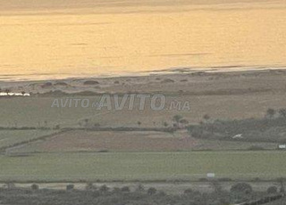 Terrain à vendre, Tot Lee sur la mer sidi mghayit