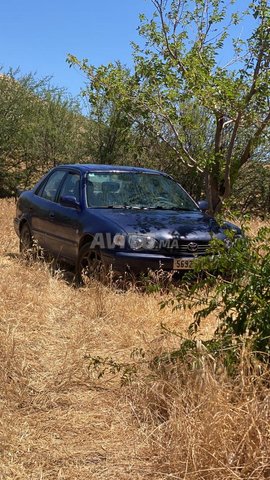 2001 Toyota Corolla