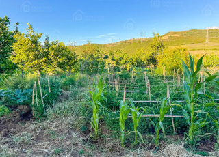 Terrain 6500m² avec maison à vendre Meloussa Tanger