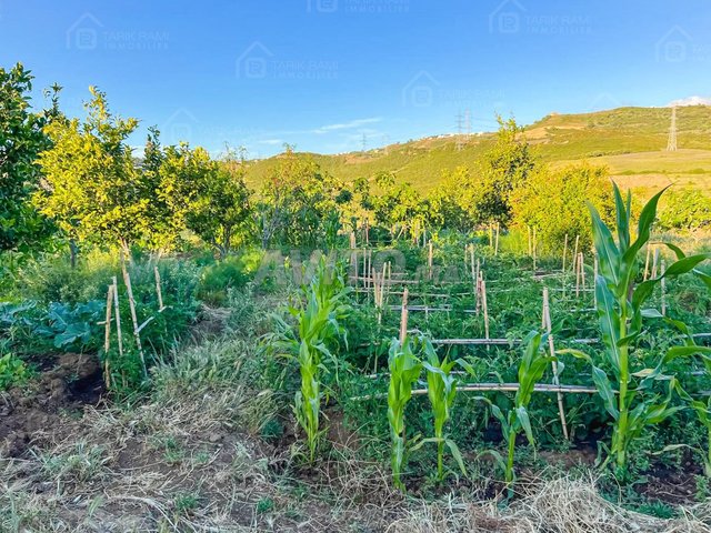 Terrain 6500m² avec maison à vendre Meloussa Tanger