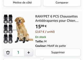 botte, chaussettes et harnais pour chien