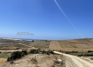 Terrain à vendre à Asilah Sidi Maghaith