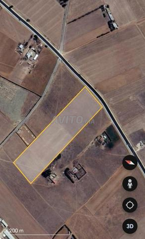 2 hectare a laghdira sur le godrone titre foncier