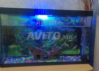 aquarium avec accessoires 