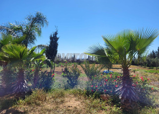 Terrain titré a vendre à oulad ziane 3652m² 