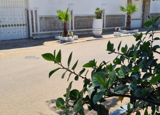 Location villa pieds sur Mer 