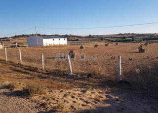 Excellent emplacement à Ahed El Gharbia, proche du marché hebdomadaire