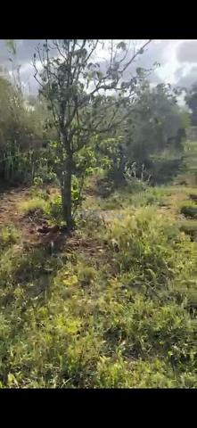 هكتاران و ثلاثة خدامة محفضةًبئر 4كم من مدينة