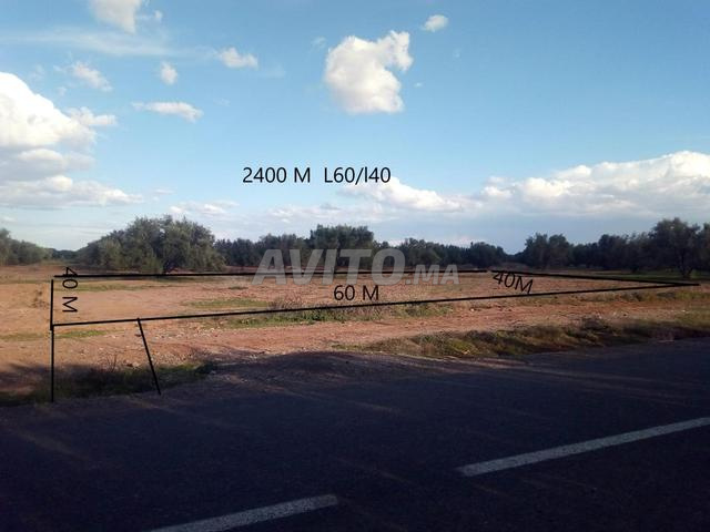 بقعة أرضية 2400 متر مربع