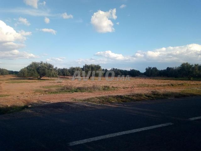 بقعة أرضية 2400 متر مربع - 2