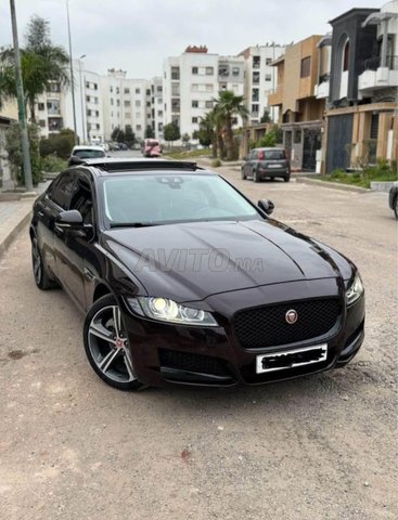 Jaguar XF occasion Diesel Modèle 2020