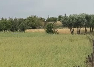 هكتار وثلاثة خدامة محفضة مربعة على الطريق