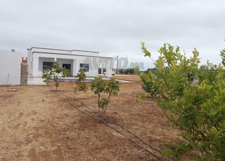 Ferme titre1ha tiflet