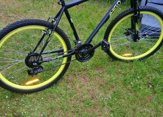 بكالا بقا نقيا