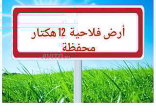 بيع ارض فلاحية محفظة 12 هكتار