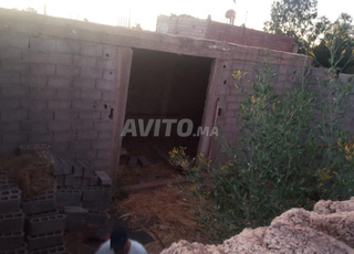 الويدان دوار الطوالب