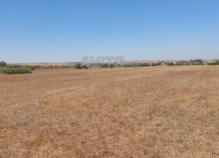 Ter titre 3ha tiflet ait al ghazi