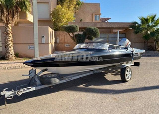 Bateau GLASTRON 90cv