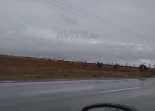 Terrain Titre de 5.73 Hectares 