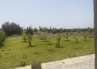 Ferme titrée à vendre à 25mn d'Eljadida 
