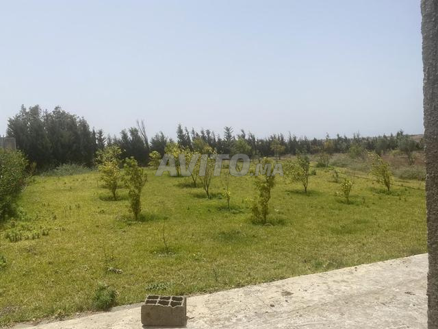 Ferme titrée à vendre à 25mn d'Eljadida 