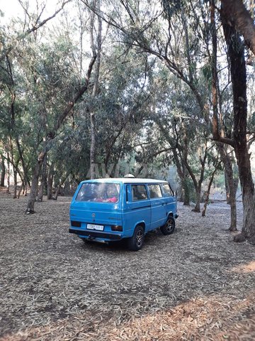 Volkswagen TRANSPORTER occasion Diesel Modèle 1982