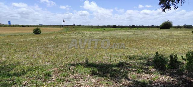 Joli terrain titré clôturé avec studio construit