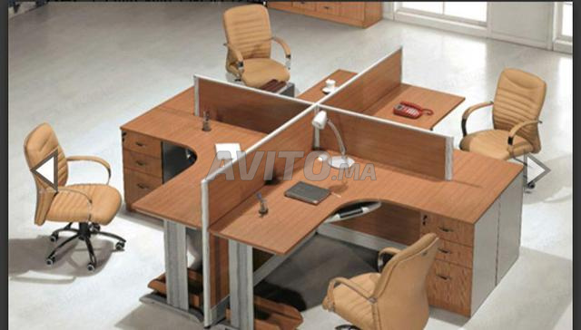 marguerites disponible 