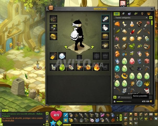 Compte Dofus Zobal lvl 200 Serv - imagiro