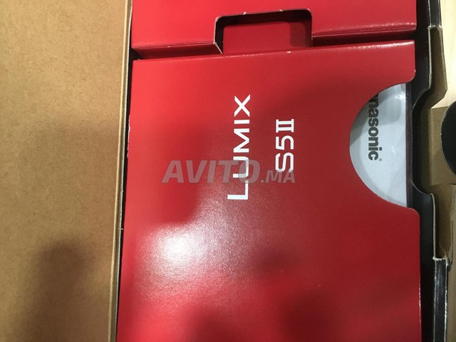 Mirrorless  Lumix S5 II  Kit with 20-60mm Lens