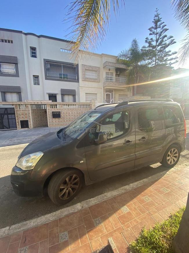Peugeot Tepee