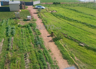 Ferme 1ha à 35min de casa - Plan autorisé villa