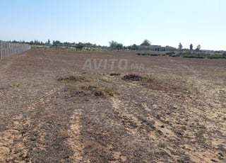 Ter titre 2ha jnane maamoura kamouni