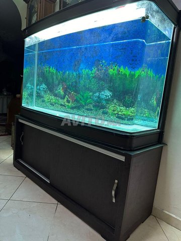 GRAND AQUARIUM