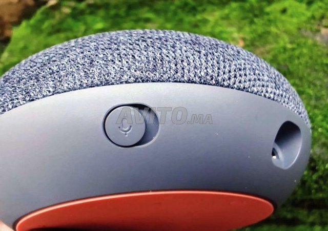 Google home mini