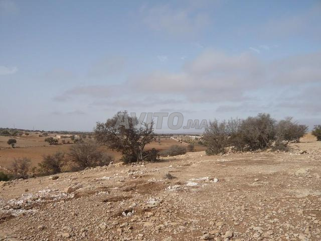 Terrain titré de 3,5 hectares proche d'Essaouira