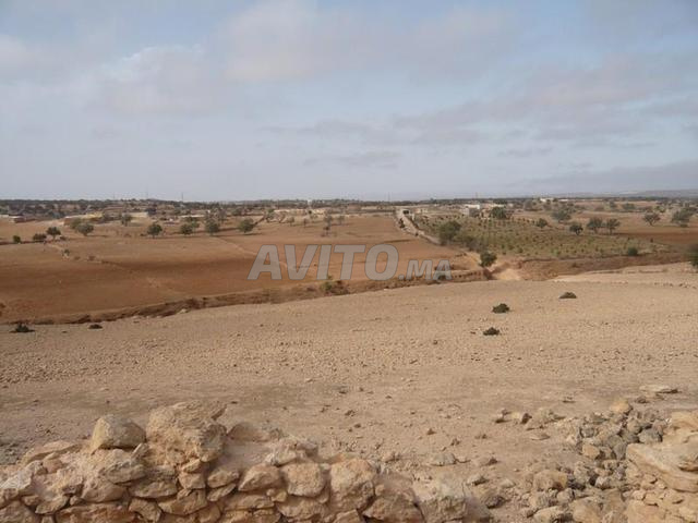 Terrain titré de 3,5 hectares proche d'Essaouira - 2