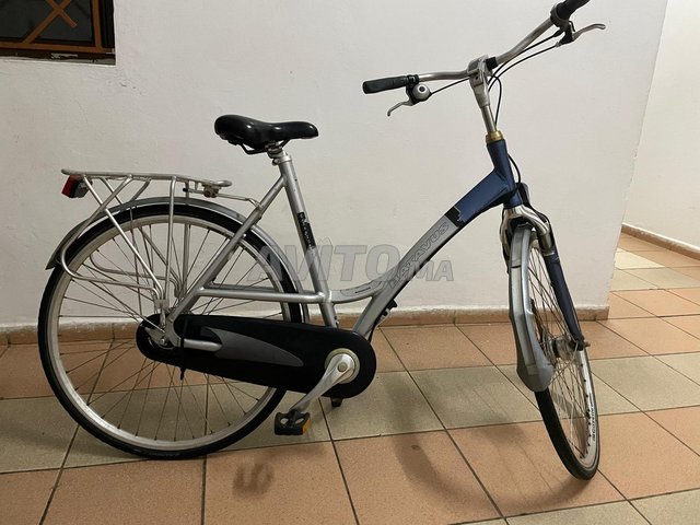 Vélo batavus hotsell
