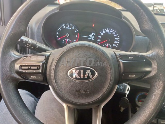 Kia Picanto occasion Essence Modèle 2020