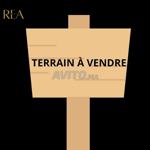 Terrain à Vendre pour École - Bd Nador