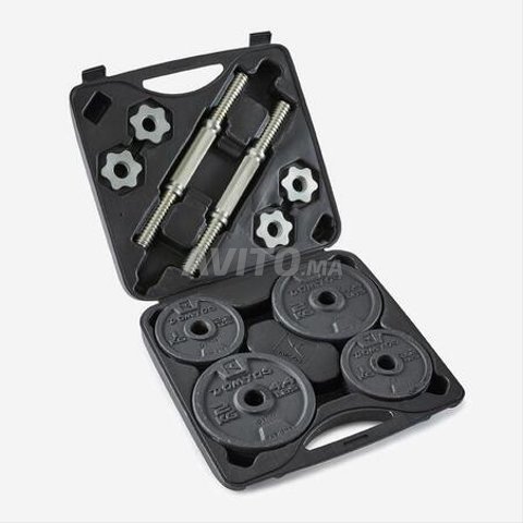  altères de musculation 20kg