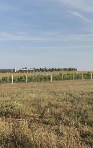 ارض محفضة 6000متر مربعة 3كم من مدينة