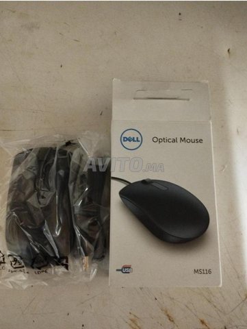 Souris  Dell MS116 